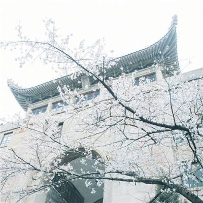 王晨在北京部分高等院校调研时强调 以习近平法治思想为指导 推进涉外法治人才培养